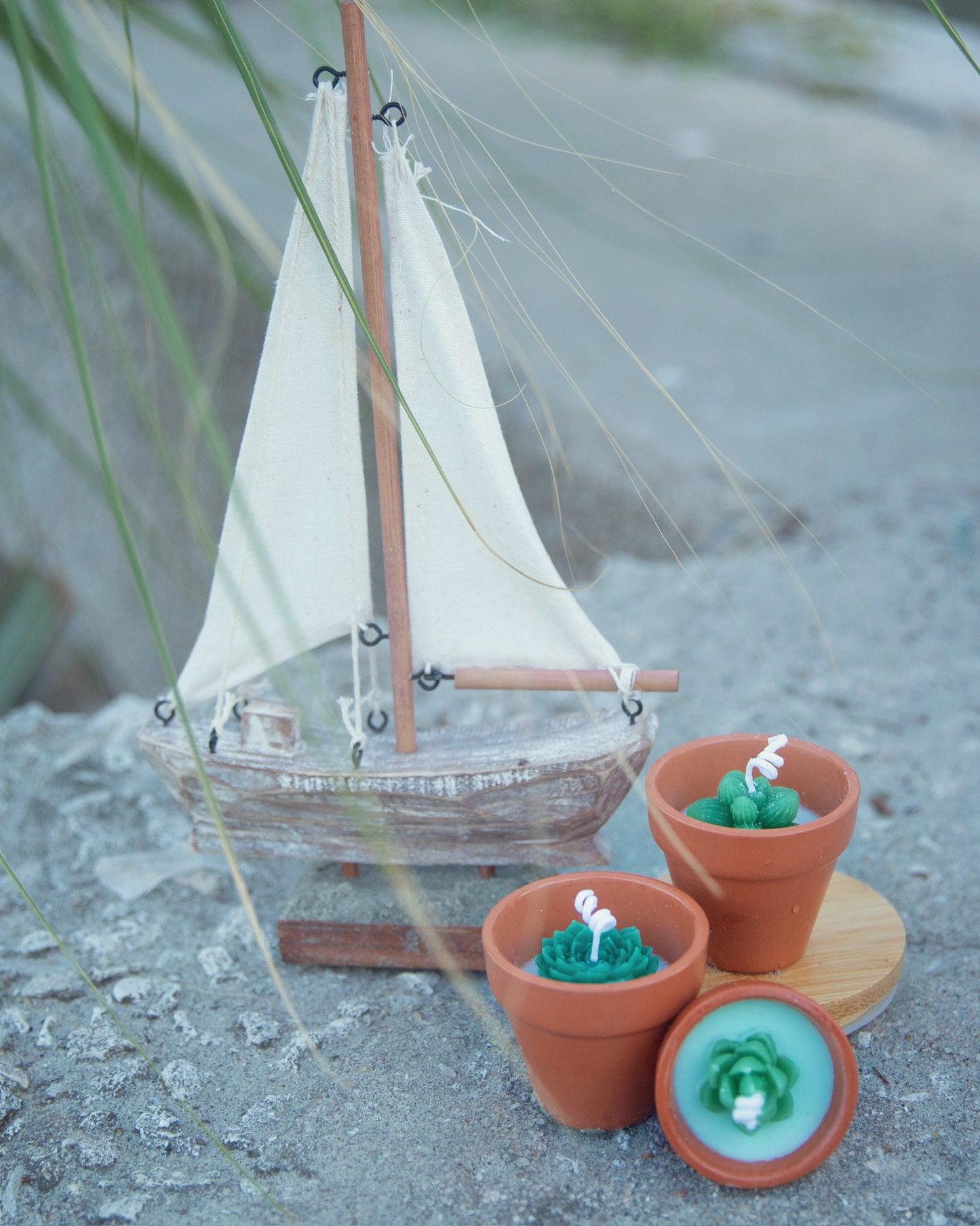2.5oz Terracotta Citronella Succulent Candle