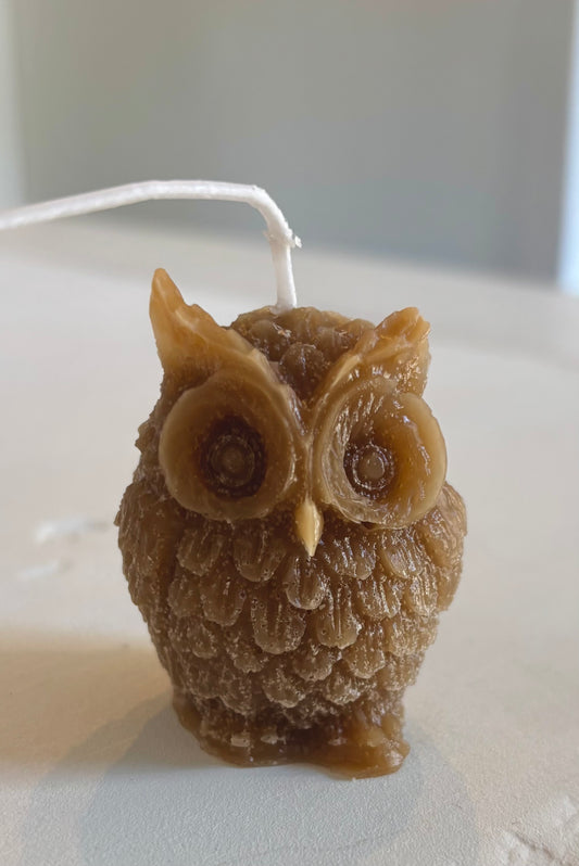Baby Owl Beeswax Candle