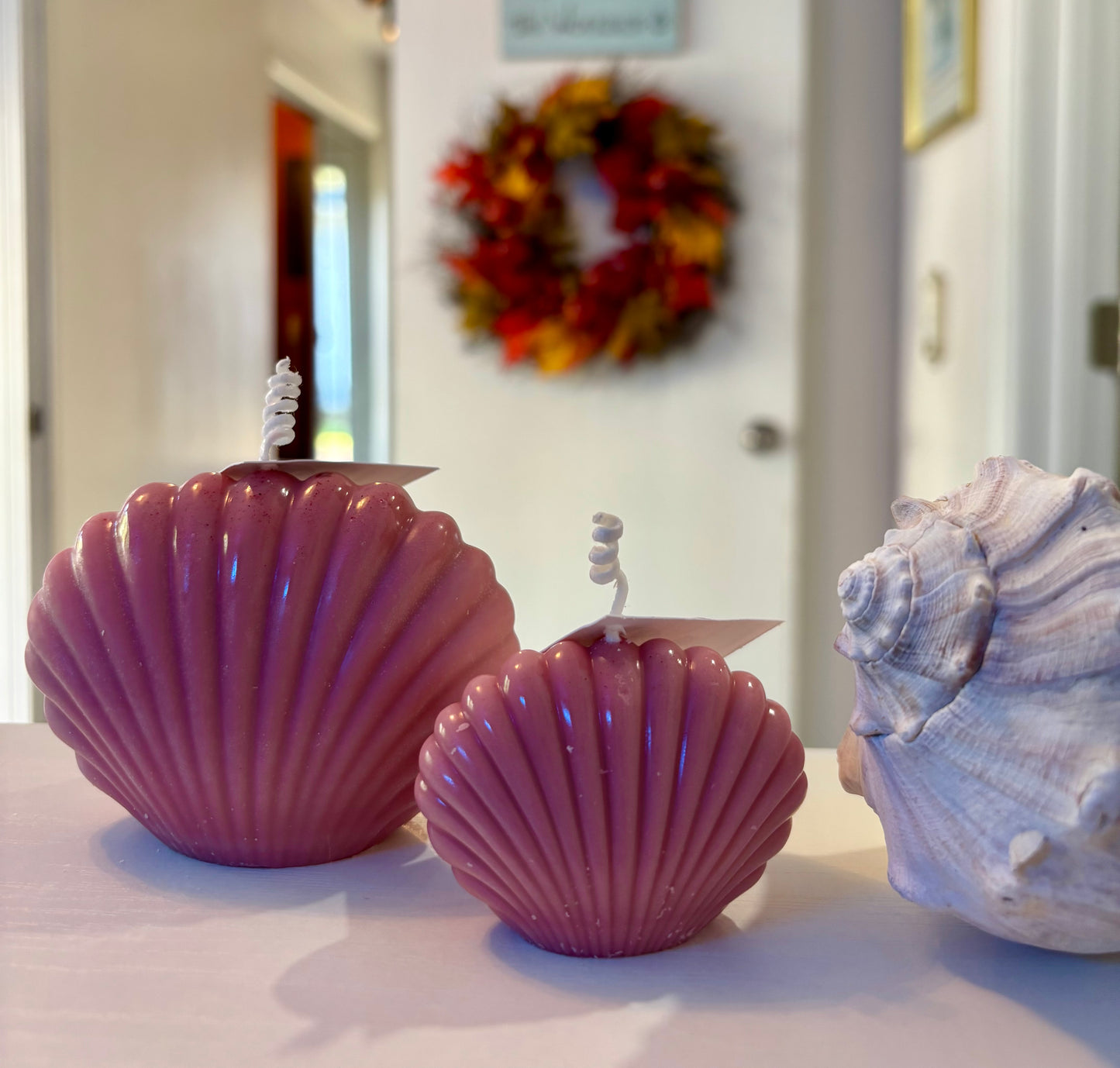 Sea Shell (large) Beeswax Candle
