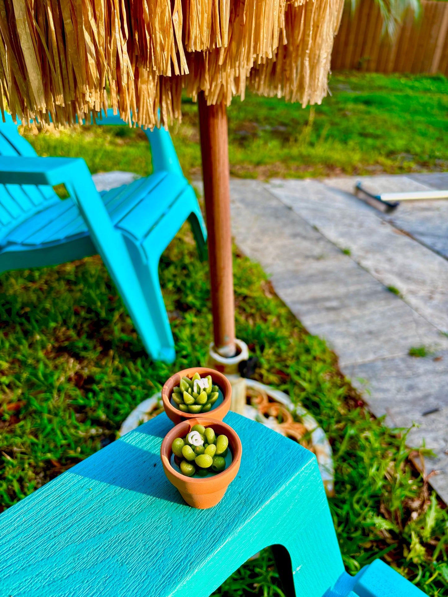 2.5oz Terracotta Citronella Succulent Candle