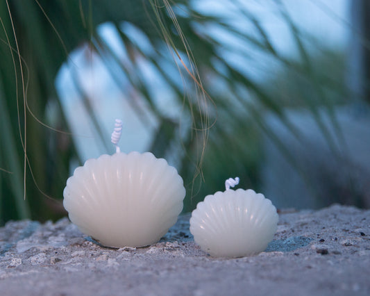 Sea Shell (small) Beeswax Candle