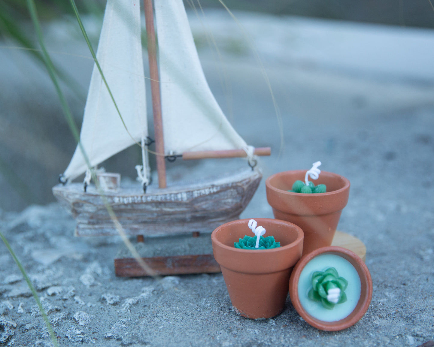 Terracotta Succulent Candle