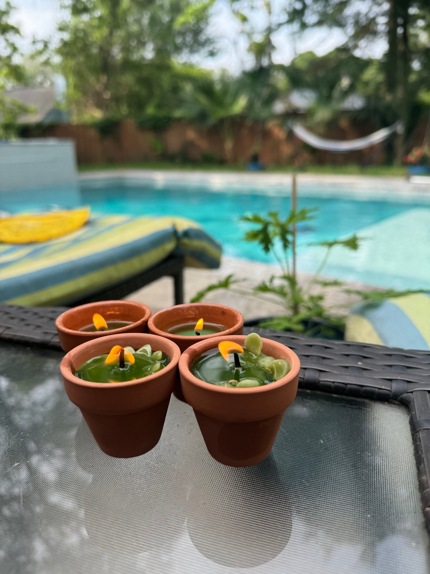 Terracotta Succulent Candle