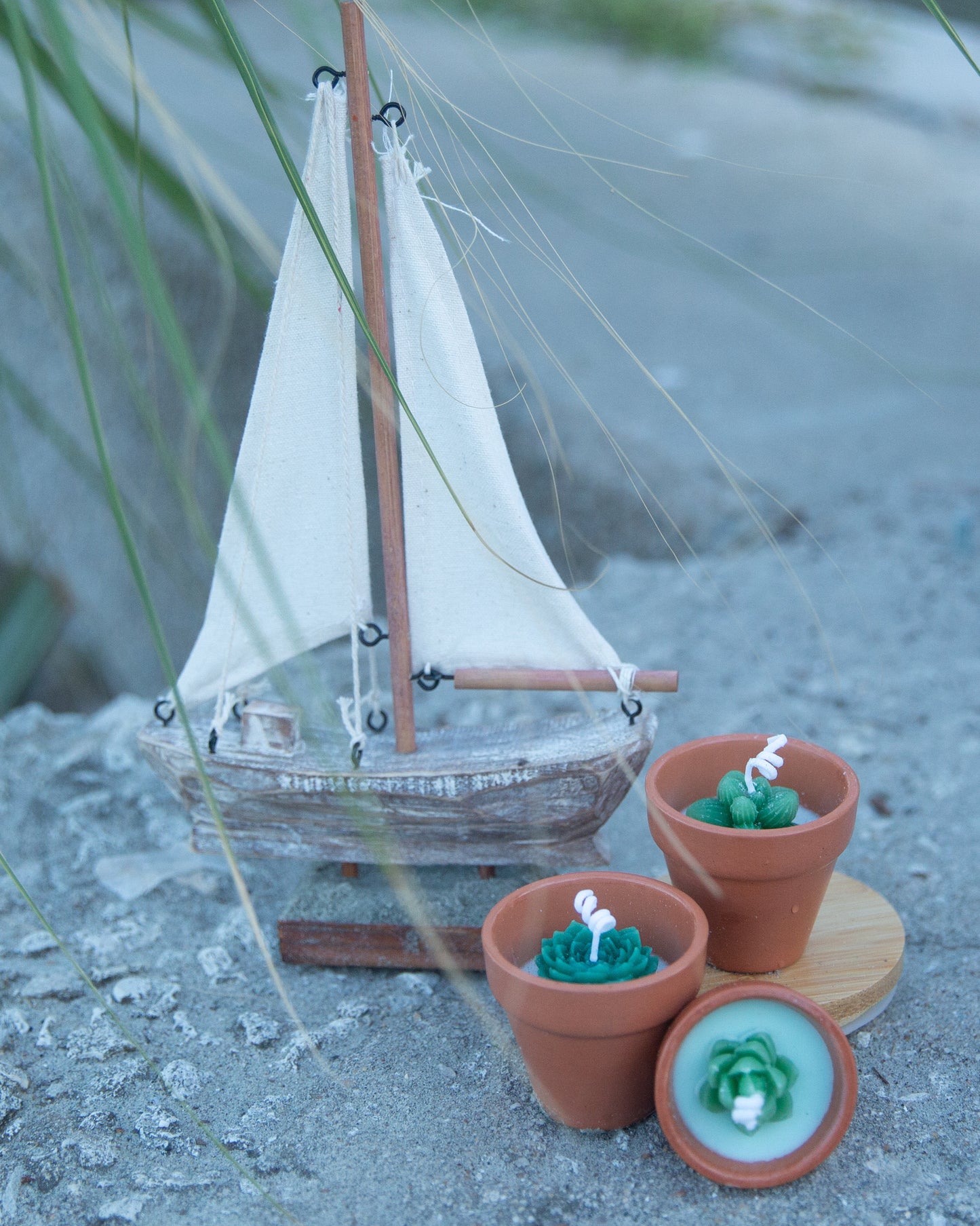 Terracotta Succulent Candle