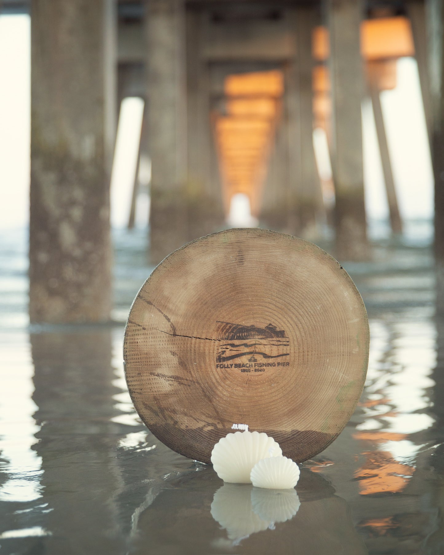 Sea Shell Beeswax Candle