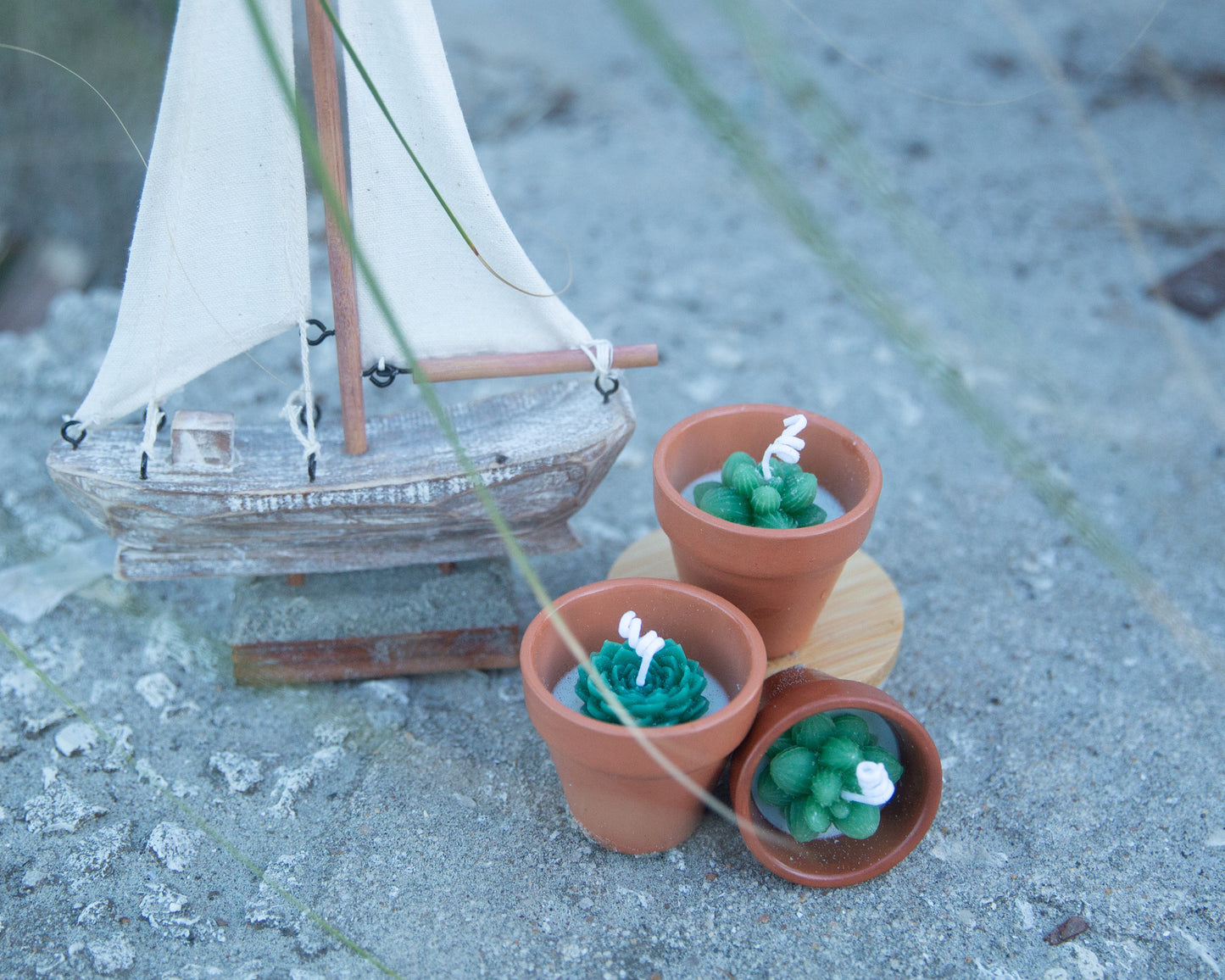 Terracotta Succulent Candle