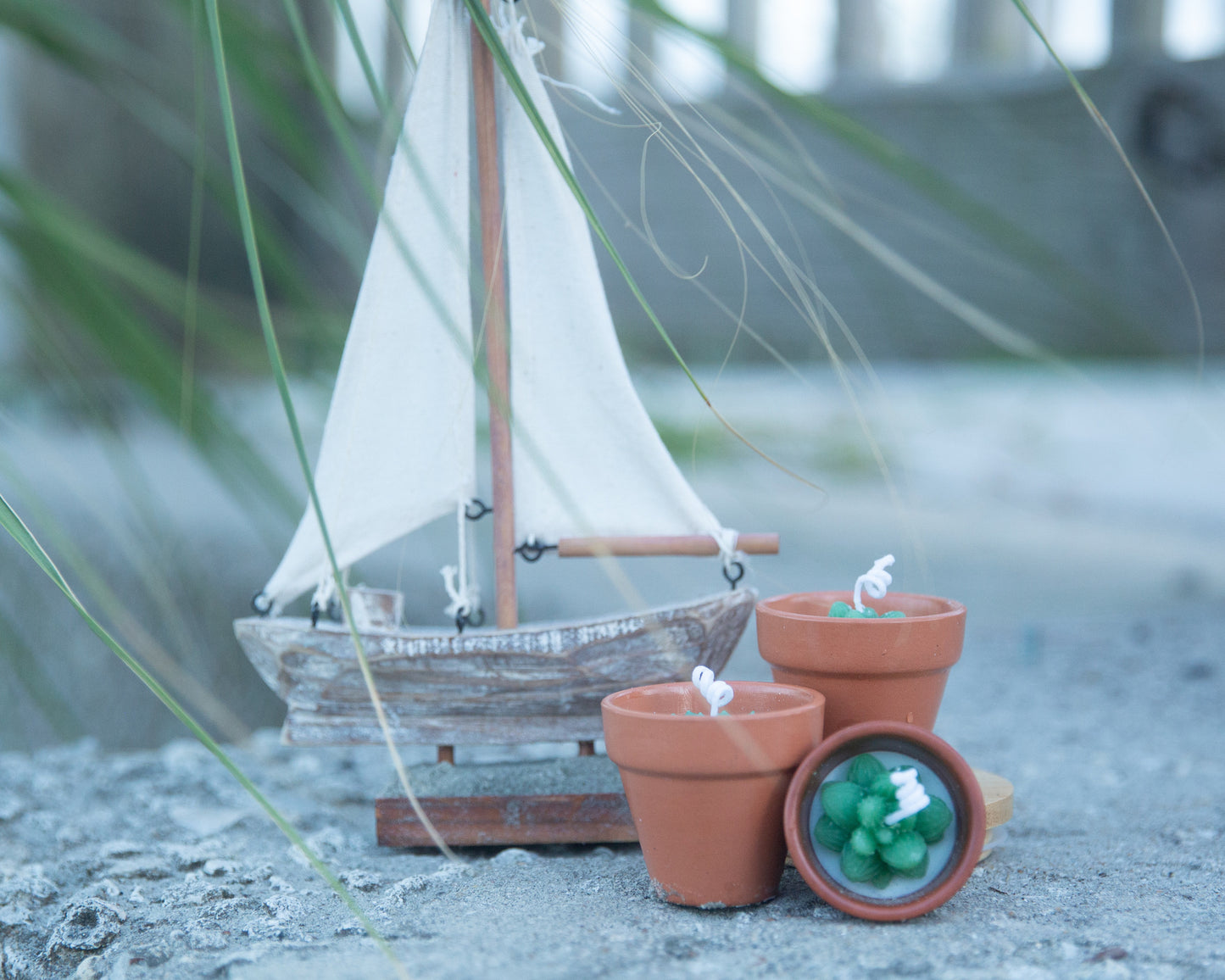 Terracotta Succulent Candle