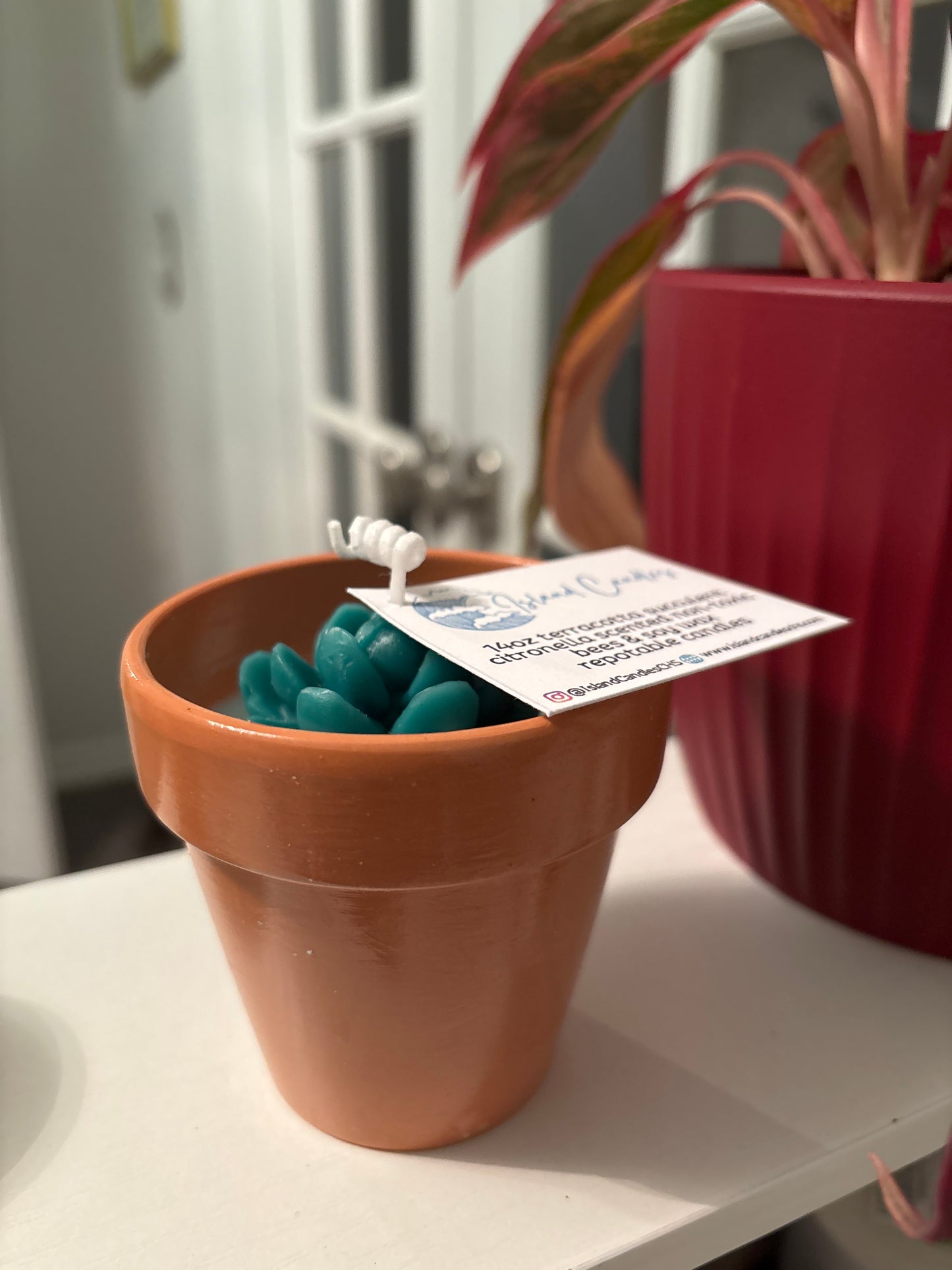 Terracotta Succulent Candle