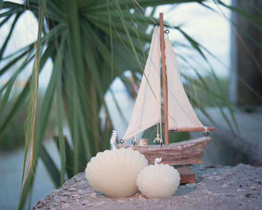 Sea Shell Beeswax Candle