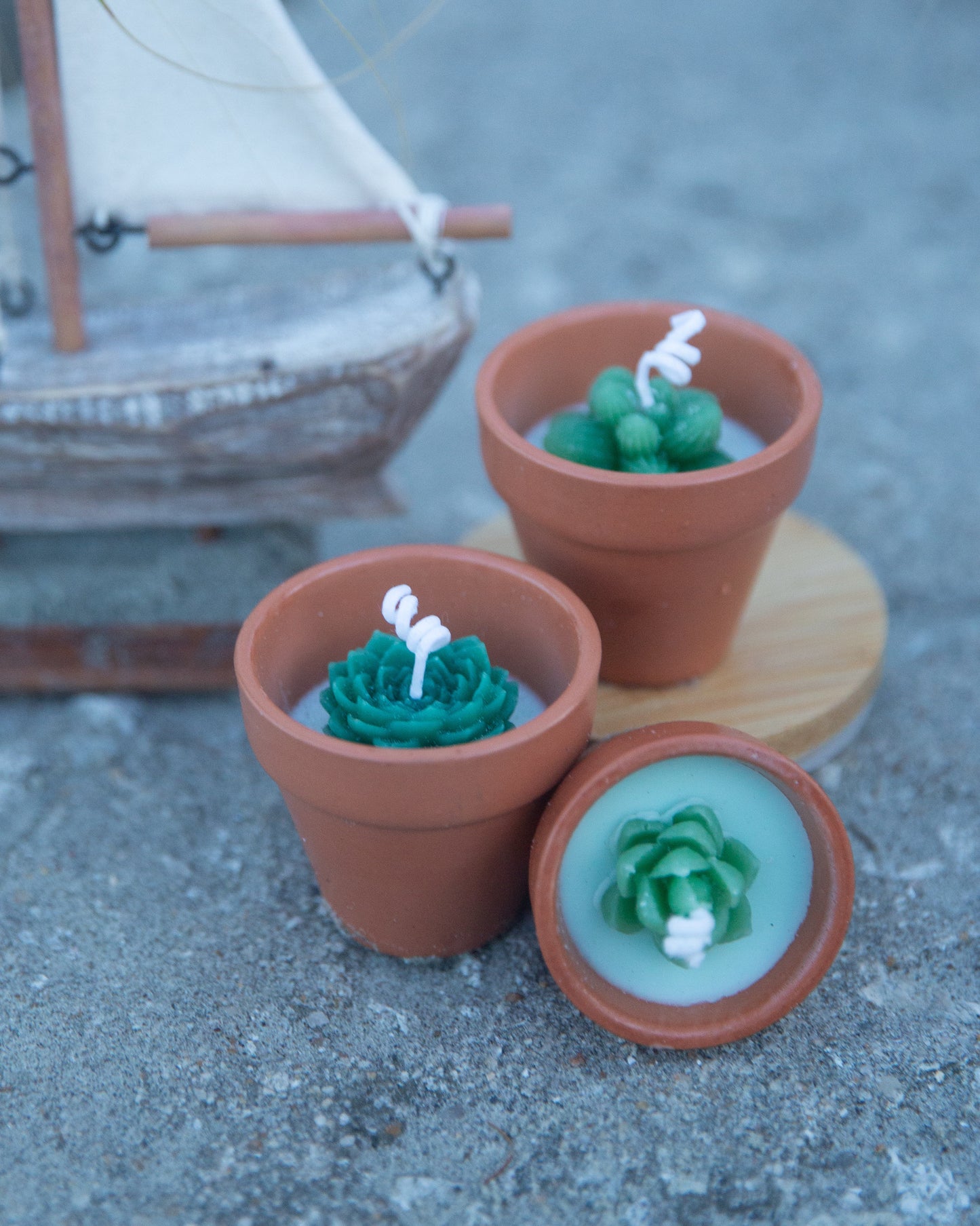 Terracotta Succulent Candle