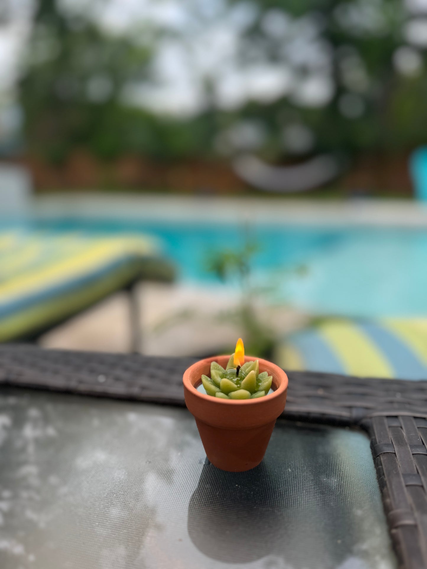 Terracotta Succulent Candle
