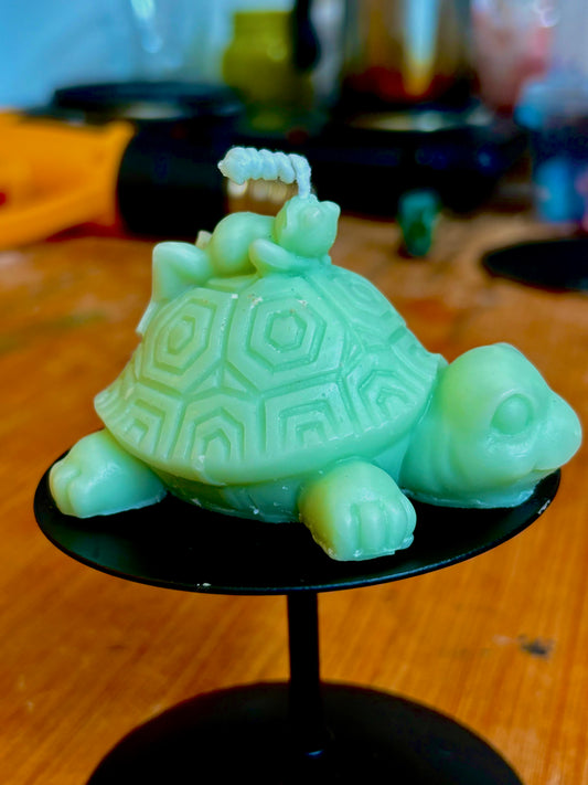 Token’ Toad on Turtle