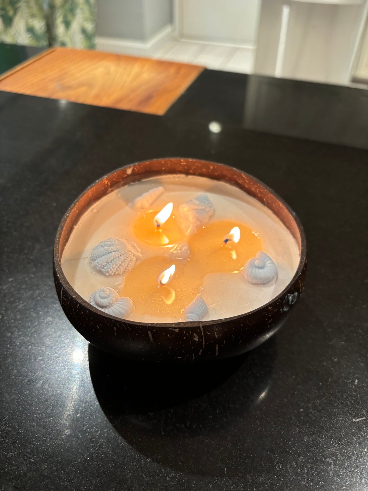 16oz Coconut 3 wick Soy Wax Candle