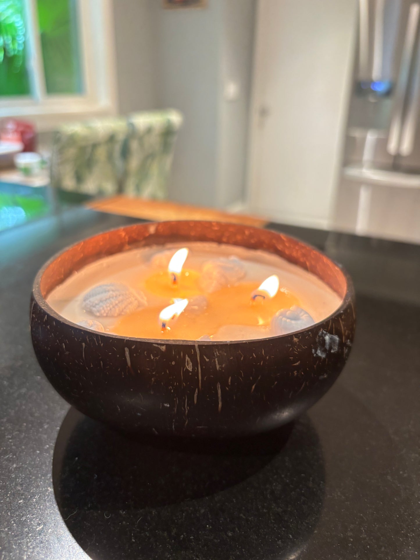 16oz Coconut 3 wick Soy Wax Candle