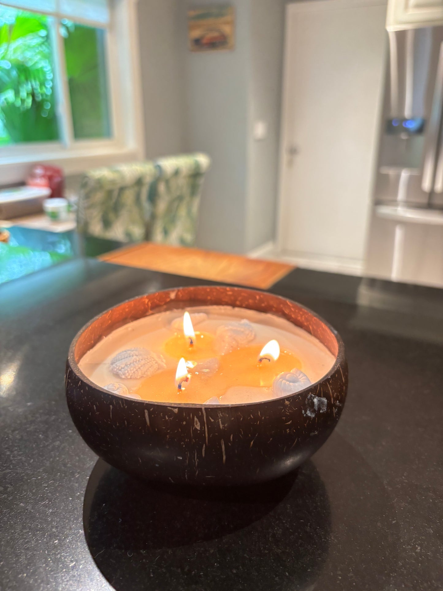 16oz Coconut 3 wick Soy Wax Candle